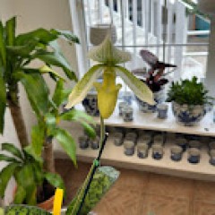 Seller Image